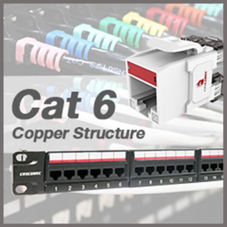 CRX Share: Why will cat6a cabling dominate the market in the coming years